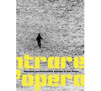 Entrare Nell'opera: Processes and Performative Attitudes in Arte Povera
