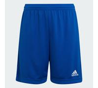 Entrata 22 Pantaloni Corti Royal Blue 13-14A