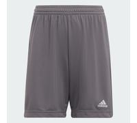 Entrata 22 Pantaloni Corti Team Grey Four 7-8A