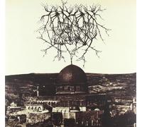 Entropy Created Consciousness Impressions of the Morning Star (Vinyl LP)