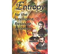 Entropy for the Intelligent, Resolute Amateur: exploring a fundamental and important concept in physics