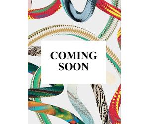 Entryways of Milan. Ingressi di Milano. 45th Ed.