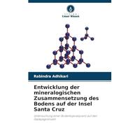 Entwicklung der mineralogischen Zusammensetzung des Bodens auf der Insel Santa Cruz: Untersuchung einer Bodentoposequenz auf den Galápagosinseln