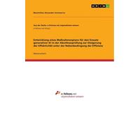 Entwicklung eines Maßnahmenplans für den Einsatz generativer KI in der Abschlussprüfung zur Steigerung der Effektivität unter der Nebenbedingung der Effizienz