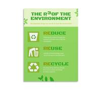 Environmental Awareness Poster The 3 Rs Reduce Reuse Recycle Sustainability Canvas Painting for School Home Decor(Framed,12x18inch(30x45cm))