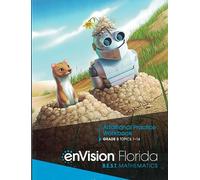 enVision Florida Mathematics (Additional Practice Workbook Grade 3 Topics 1-14)