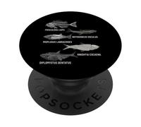 Eocene Collezione di pesci fossili Paleontologia Arte PopSockets PopGrip Adesivo