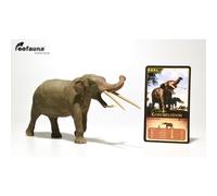 Eofauna Konobelodon atticus Model 1:35 Scale - Modello di elefante preistorico