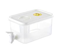 Eoixuqba Dispenser per succhi da frigorifero con rubinetto, 26,5 x 19,5 x 14 cm, in, con beccuccio e filtro, dispenser per bevande ghiacciate, per picnic, feste, campeggio