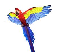 Eolo Kites Ready 2 Fly Kids’ 3D Pop-Up Kite, Red Dragon, Wingspan, Patented Syst