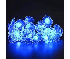 EONYUANGUO Giardino di luci a stringa solare, 6.5m 30LED luci solari della stringa della fata della gloria mattutina con 8 modalità di luci a stringa di fiori per esterni impermeabili (Blu)