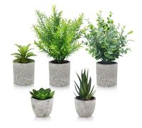 EOPUOZS 5 Pezzi Piante Artificiali, set di vasi artificiali, Agave Succulente, Aloe Artiglio d'Aquila per Casa, Matrimoni, Ufficio Decorazioni