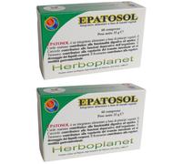 Epatosol 60 Compresse 2x33 g Compresse