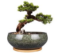 EPFamily Vaso per bonsai in ceramica, 20 cm, smaltato, poco profondo, con foro di drenaggio e piattino in bambù, per piante da interno, verde