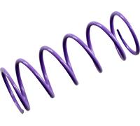 EPI PATV4 MOLLA FRIZIONE PRIMARIA POLARIS ACE 150 EFI 2X4 2019