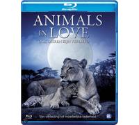 Epic War Stories ( March Of Millions / Hidden Children / Exodus ) [... DVD NUOVO