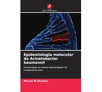 Epidemiologia molecular da Acinetobacter baumannii: Uma abordagem aos métodos atuais de tipagem e às investigações de surtos