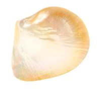 EPIGEIST Vassoio Decorativo per Alimenti Piatto da Portata per Dessert Insalate e Antipasti Uso e Ristoranti