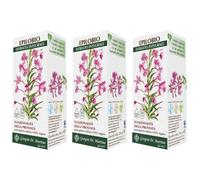 Epilobio Estratto Integrale 200 Ml 3x200 ml Soluzione orale