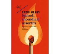 Episodi incendiari assortiti