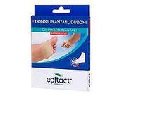 Epitact cusc.d/prot.l