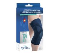 EPITACT GINOCCHIERA LEGAM 2