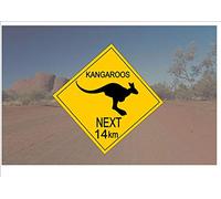 EpochSign Targa in metallo con scritta in lingua inglese in stile australiano, cartello stradale in Australia con canguri e scritta in lingua inglese "Fun Kangaro", 30,5 x 30,5 cm
