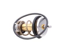 EPS 1.880.990 Termostato motore