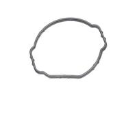 EPS 1.890.689 Guarnizione, Termostato