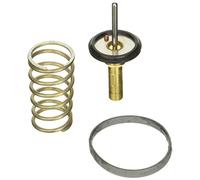 FACET 7.8823 Termostato motore