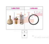 EPS Termostato Refrigerante con Guarnizione Senza Parti di Collegamento 80°C