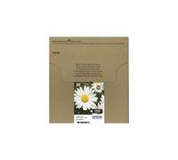 EPSON 18 C13T18064511 CMYK INCHIOSTRO - 540 PAGINE A COLORI PER EXPRESSION HOME XP-102