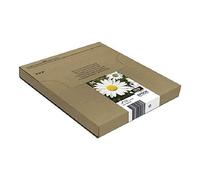 Epson Daisy Multipack Margherita 4 colori Inchiostri Claria Home 18
