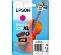 Inchiostro Epson Singlepack Magenta 250XL