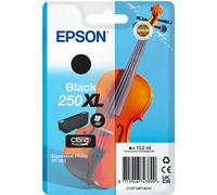 Inchiostro Epson Singlepack nero 250XL