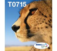 Epson Multipack 4-colours T071 EasyMail