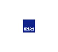 EPSON - C13T15914010 Cartuccia Ink Originale Nera per Stylus Foto R2000 Capacit 850 Pagine