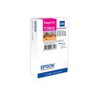 EPSON - C13T70134010 - Epson - Tanica - Magenta - T7013 - C13T70134010 - 34,2ml - EPST70134010 - Conf. da 1 Pz. - C13T70134010