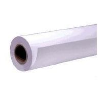Epson Carta speciale matte per presentazioni, in rotoli da111,8cm [44"] x 25m. (44 x 25m Presentation Matte Paper Roll)