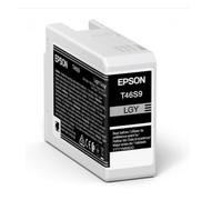 Epson Cartuccia C13T46S900 SINGLEPACK LIGHT GRAY T46S9 ULTRACH