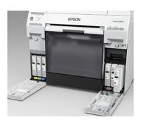 Epson cartuccia inchiostro Ciano per SureLab SL-D800 originale