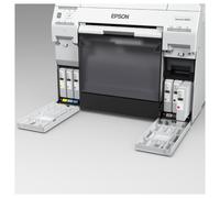 Epson cartuccia inchiostro giallo originale per SureLab SL-D800