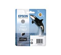Epson nero light t7607