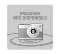 CLEANING CARTIGDE ORIGINALE EPSON C13T642000 / T6420
