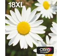 Epson Daisy Multipack Margherita 4 colori Inchiostri Claria Home 18XL in confezi