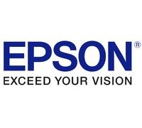Epson Erase Red Color Embedded Option OPTION C12C938781