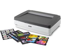 Epson Expression 13000XL Pro Scanner piano 2400 x 4800 DPI A3 Grigio, Bianco [B11B257401BT]