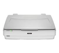 Epson Expression 13000XL Scanner piano 2400 x 4800 DPI A3 Bianco (Epson Expressi