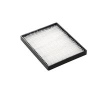 EPSON filtro sostitutivo ELPAF14, V13H134A14