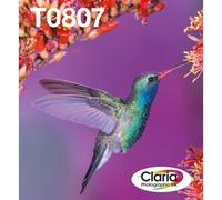 Epson Hummingbird Multipack 6 colori T0807 Claria Photographic Ink in confezione